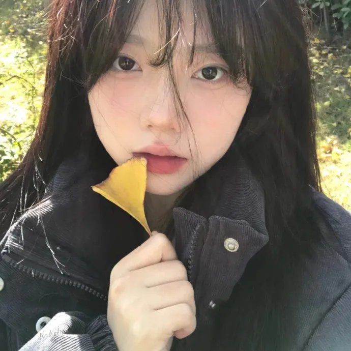 逆旅奇观